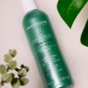 PHYTODESS - PHYTODESS SHAMPOING ALOE VERA 250ML